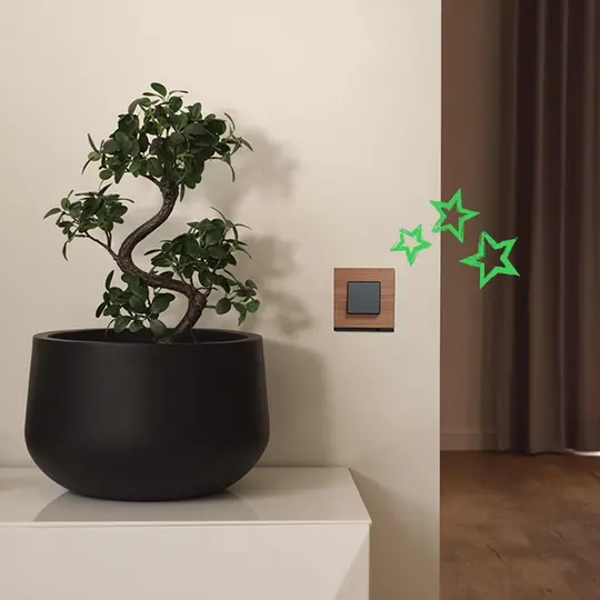 Home with plant and chairs